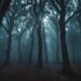 Übernatürliche Phänomene: Was steckt dahinter?